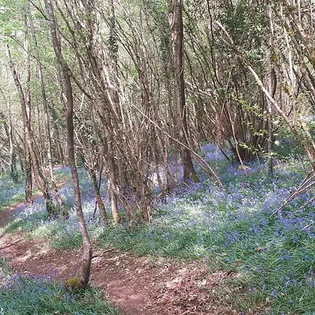 Retraite Rustique En Bordure De Foret A La Campagne *